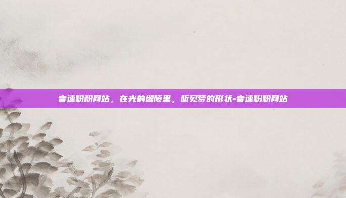 音速粉粉网站，在光的缝隙里，听见梦的形状-音速粉粉网站