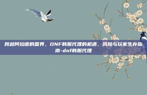 跨越阿拉德的国界，DNF韩服代理的机遇、风险与玩家生存指南-dnf韩服代理