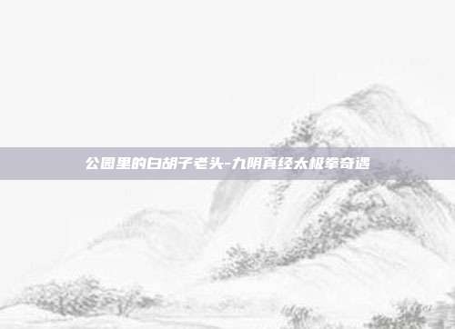 公园里的白胡子老头-九阴真经太极拳奇遇