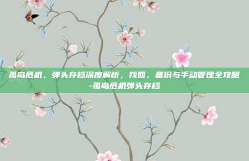 孤岛危机，弹头存档深度解析，找回、备份与手动管理全攻略-孤岛危机弹头存档