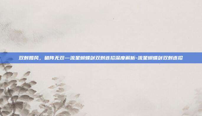 双刺如风，破阵无双—流星蝴蝶剑双刺连招深度解析-流星蝴蝶剑双刺连招