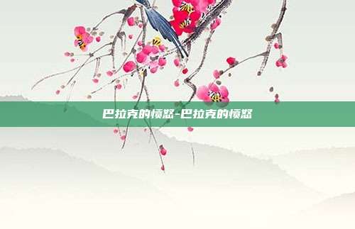巴拉克的愤怒-巴拉克的愤怒