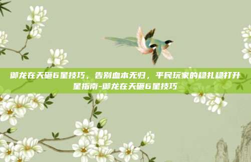 御龙在天砸6星技巧，告别血本无归，平民玩家的稳扎稳打升星指南-御龙在天砸6星技巧
