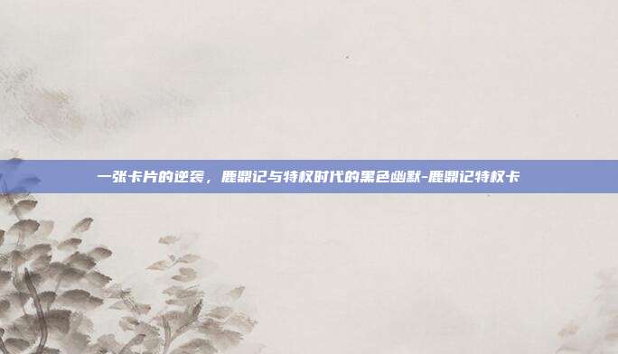 一张卡片的逆袭,鹿鼎记与特权时代的黑色幽默-鹿鼎记特权卡