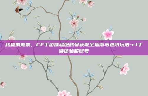 稀缺的船票，CF手游体验服账号获取全指南与进阶玩法-cf手游体验服账号