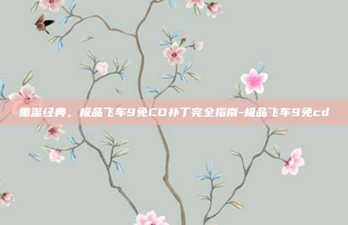 重温经典，极品飞车9免CD补丁完全指南-极品飞车9免cd