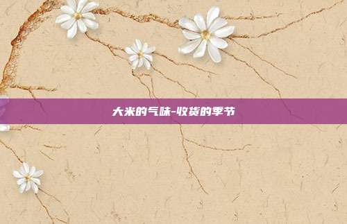 大米的气味-收货的季节