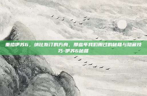 重拾伊苏6，纳比斯汀的方舟，那些年我们用过的秘籍与隐藏技巧-伊苏6秘籍
