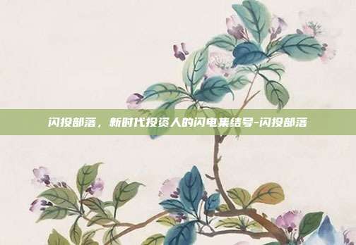 闪投部落，新时代投资人的闪电集结号-闪投部落