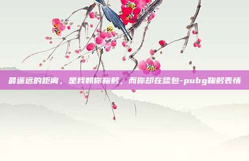 最遥远的距离，是我朝你鞠躬，而你却在舔包-pubg鞠躬表情
