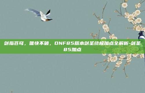 剑指苍穹，唯快不破，DNF85版本剑圣终极加点全解析-剑圣85加点