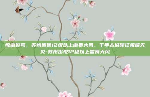 惊雷裂穹,苏州遭遇12级以上雷暴大风,千年古城硬扛极端天灾-苏州出现12级以上雷暴大风