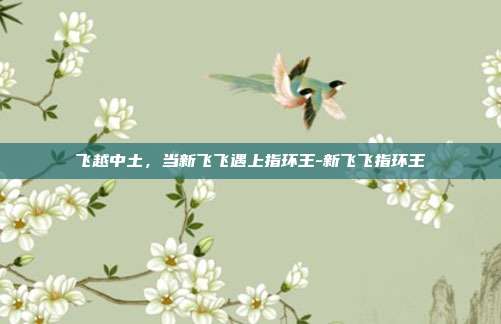 飞越中土，当新飞飞遇上指环王-新飞飞指环王