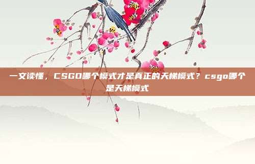 一文读懂，CSGO哪个模式才是真正的天梯模式？csgo哪个是天梯模式
