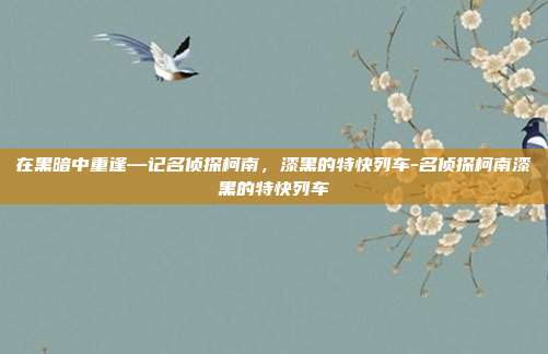 在黑暗中重逢—记名侦探柯南,漆黑的特快列车-名侦探柯南漆黑的特快列车