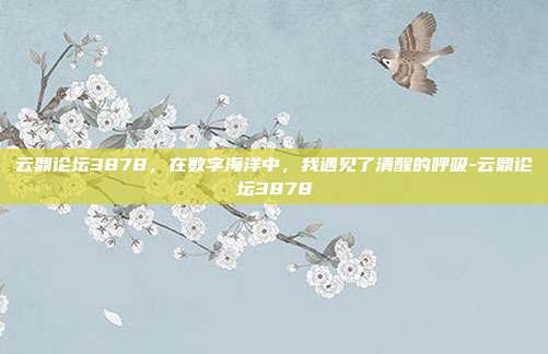 云鼎论坛3878，在数字海洋中，我遇见了清醒的呼吸-云鼎论坛3878