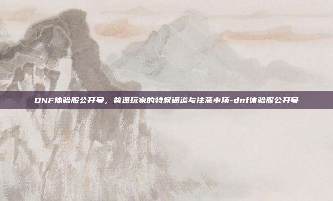DNF体验服公开号，普通玩家的特权通道与注意事项-dnf体验服公开号
