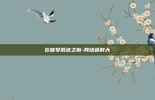 在信号抵达之前-网络延时大
