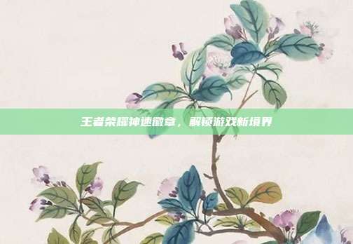 王者荣耀神速徽章，解锁游戏新境界