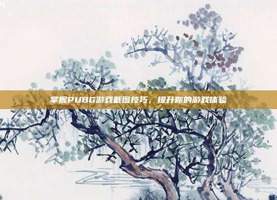 掌握PUBG游戏截图技巧，提升你的游戏体验