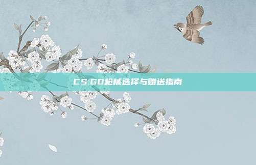 CS:GO枪械选择与赠送指南