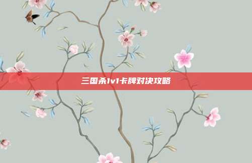 三国杀1v1卡牌对决攻略