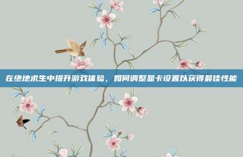 在绝地求生中提升游戏体验，如何调整显卡设置以获得最佳性能