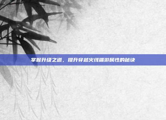 掌握升级之道,提升穿越火线端游属性的秘诀