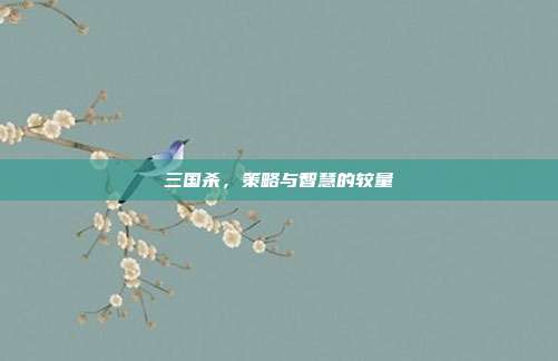 三国杀，策略与智慧的较量