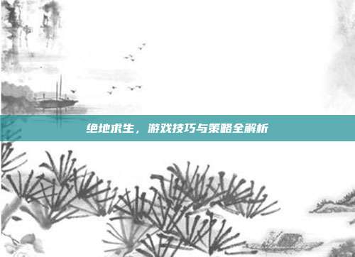 绝地求生，游戏技巧与策略全解析