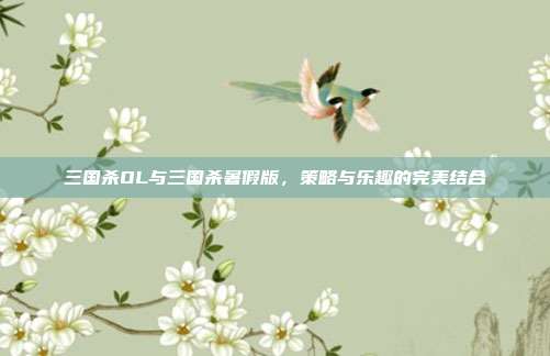 三国杀OL与三国杀暑假版，策略与乐趣的完美结合