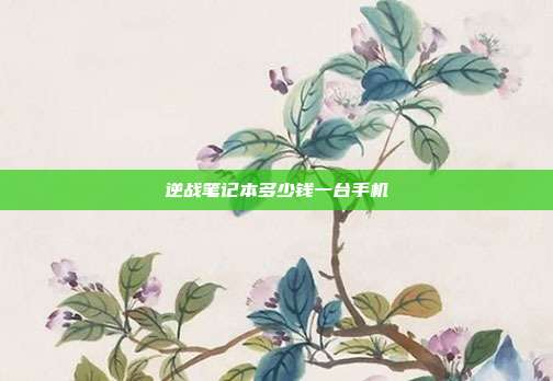 逆战笔记本多少钱一台手机