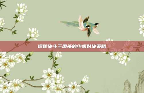 揭秘决斗三国杀的终极对决策略