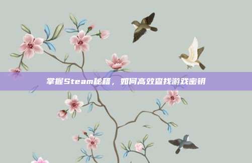 掌握Steam秘籍,如何高效查找游戏密钥