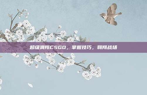 超级滑翔CSGO,掌握技巧,翱翔战场