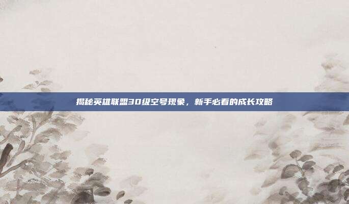 揭秘英雄联盟30级空号现象,新手必看的成长攻略