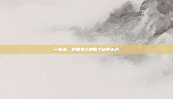 三国杀，随机排列的顺手牵羊策略