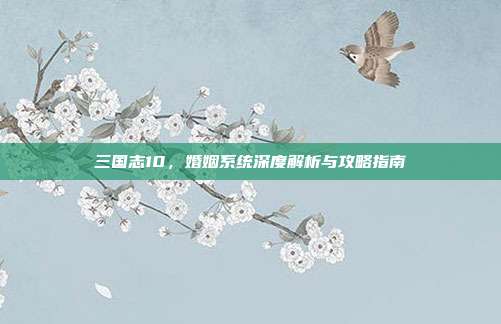 三国志10,婚姻系统深度解析与攻略指南