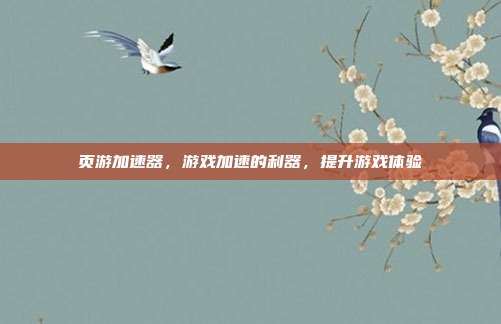 页游加速器，游戏加速的利器，提升游戏体验