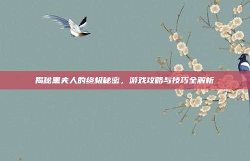 揭秘黑夫人的终极秘密,游戏攻略与技巧全解析