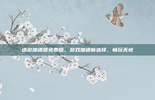 迅游加速器免费版,游戏加速新选择,畅玩无忧