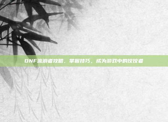 DNF流浪者攻略,掌握技巧,成为游戏中的佼佼者