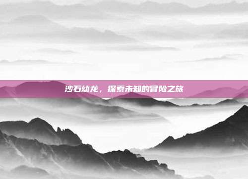 沙石幼龙,探索未知的冒险之旅