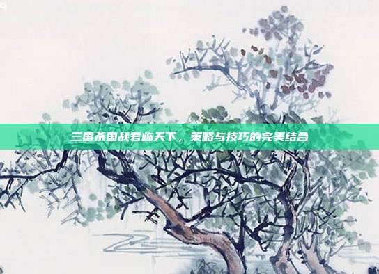 三国杀国战君临天下，策略与技巧的完美结合