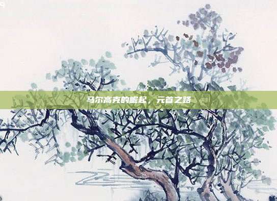 马尔高克的崛起，元首之路