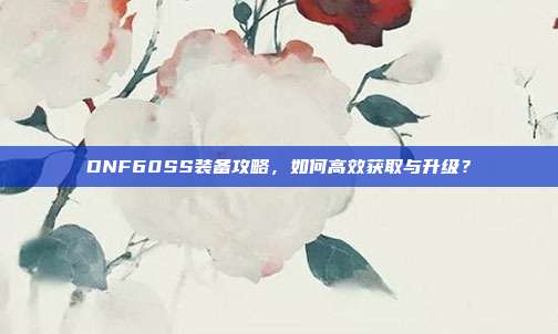 DNF60SS装备攻略,如何高效获取与升级?
