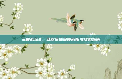 三国战纪2，武器系统深度解析与攻略指南