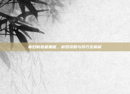 寡妇制造者重做，游戏攻略与技巧全解析
