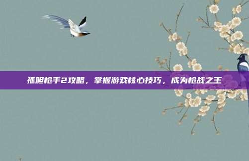孤胆枪手2攻略,掌握游戏核心技巧,成为枪战之王