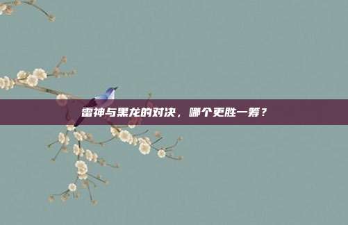 雷神与黑龙的对决,哪个更胜一筹?